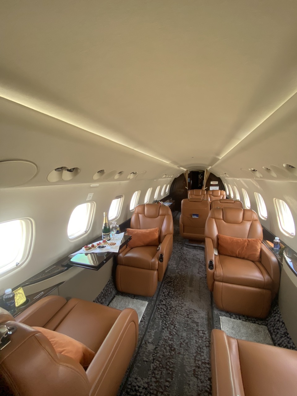 Legacy 600 Cabin Interior - Vietnam Private Jet Company